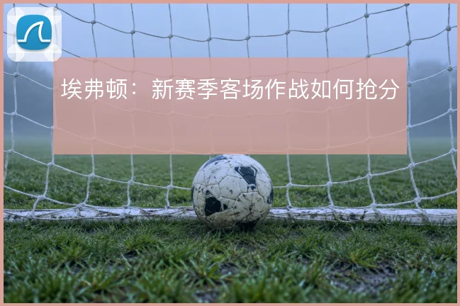 埃弗顿：新赛季客场作战如何抢分