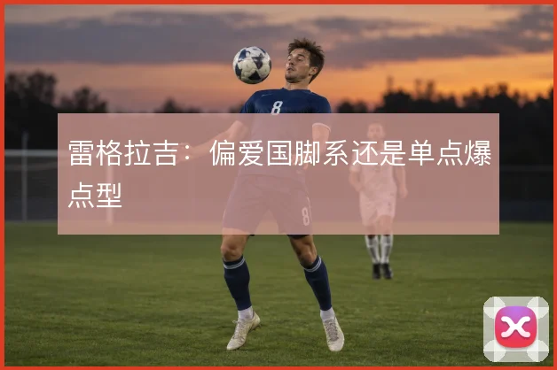 雷格拉吉：偏爱国脚系还是单点爆点型